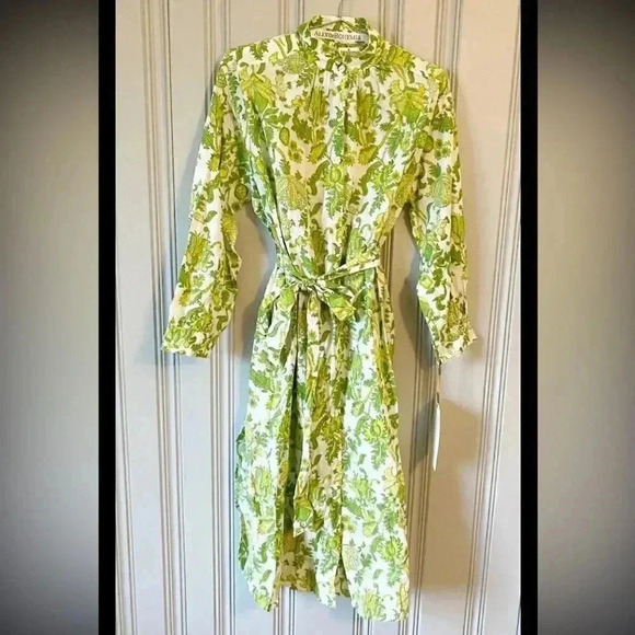 ALIX OF BOHEMIA Sawyer Chartreuse Drop Shoulder Button Shirt Dress, M, NWT $590 - Picture 5 of 13